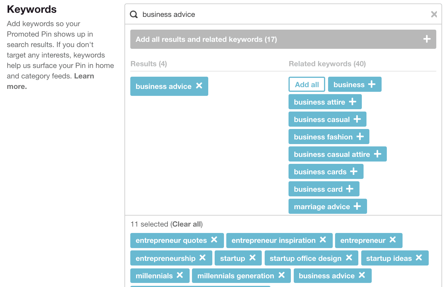 Pinterest Campaign Details keywords Example