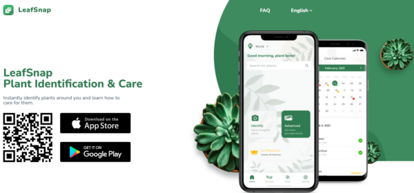Best Gardening Apps: What to Use for Plant Care, Pests, Layouts