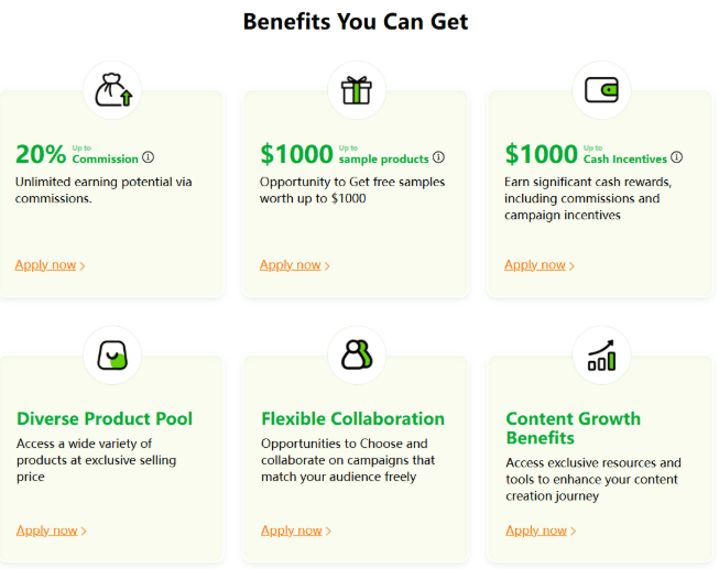 Key Benefits for Temu Influencers